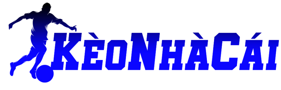 yopaponce.com.mx